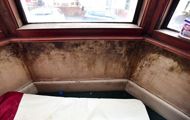 The mother-of-five complained to her private landlord because of the damp in the house