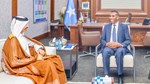 Xukuumadda Soomaaliya oo ka dalbatay Dowladda Qatar inay ka gacan siiso arrimaha ammaanka