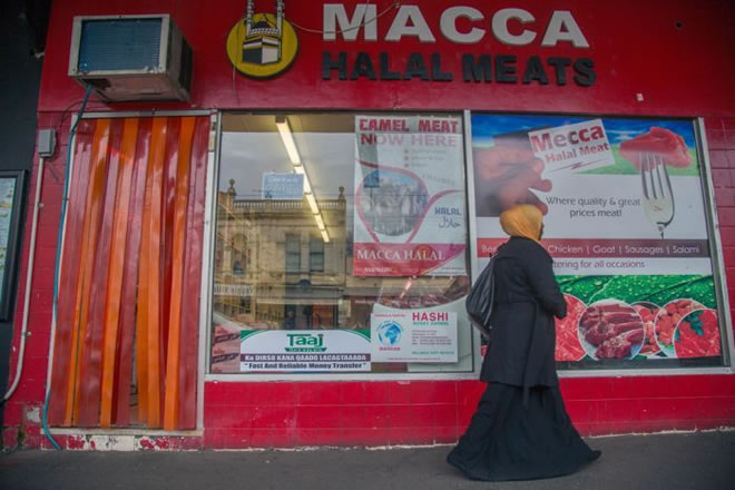 PHOTO: The Flemington butcher stocks camel meat sourced from Alice Springs. (ABC News: Margaret Burin )